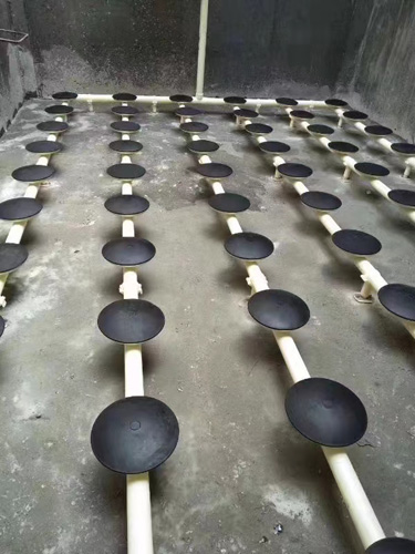 MBBR integrated sewage treatment plant wwtp